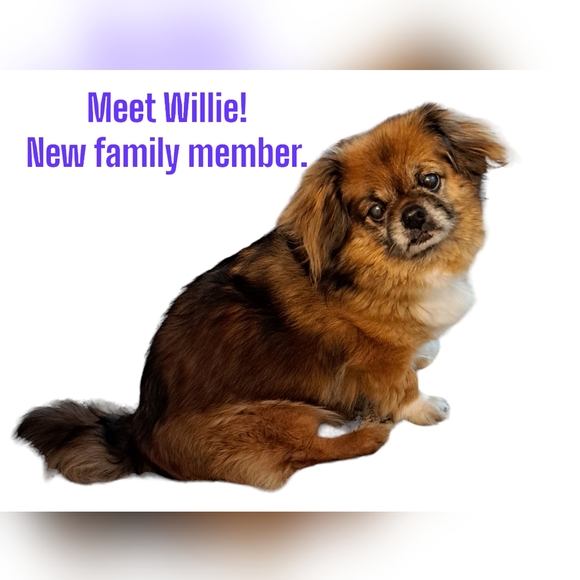 Meet the Posher - Picture 3 of 4